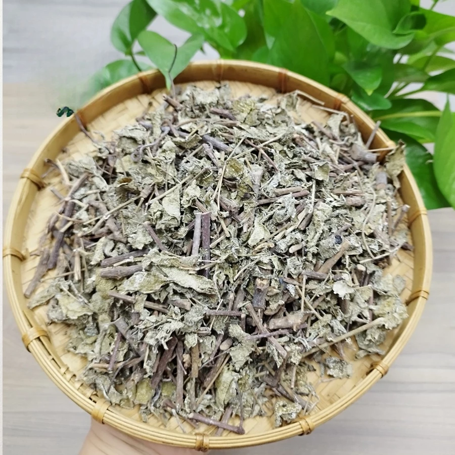 Chè Dây Sapa - Ảnh 2