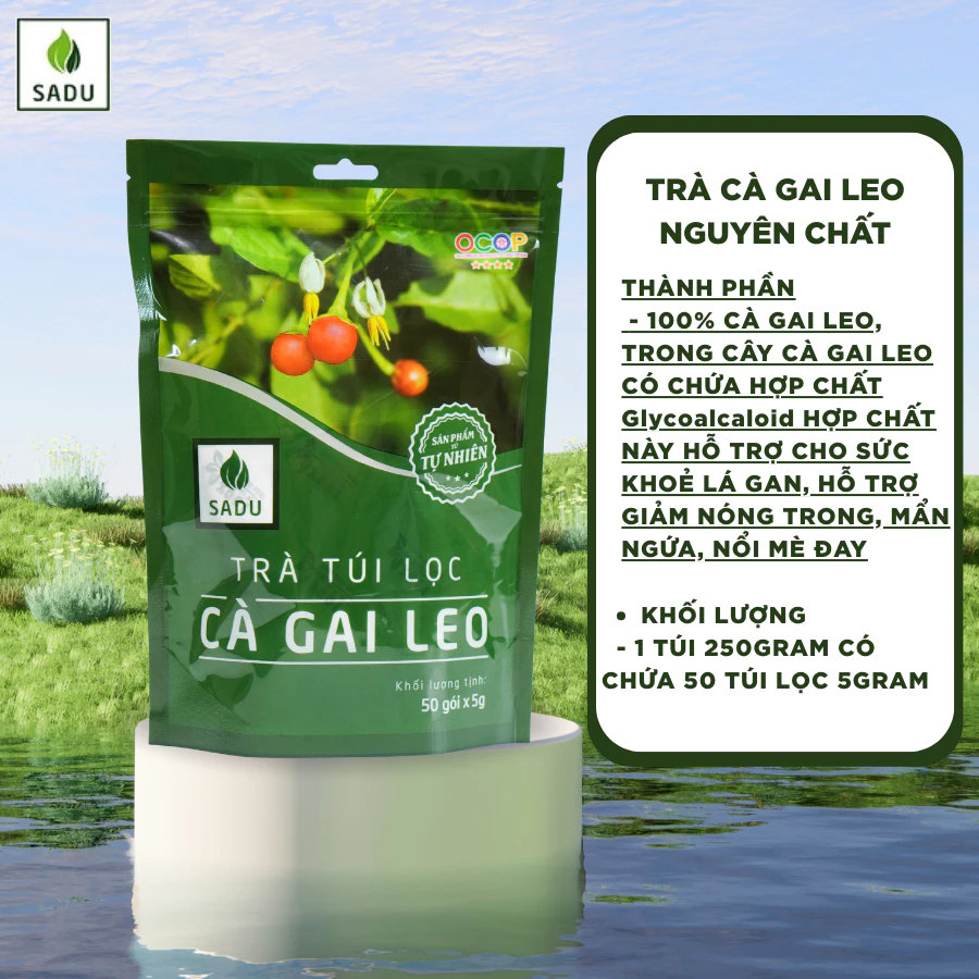 Trà Cà Gai Leo - Ảnh 3