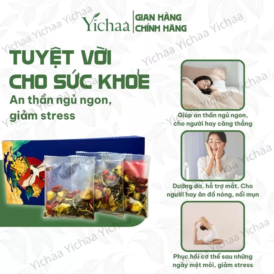 Cúc Chi - Ảnh 2