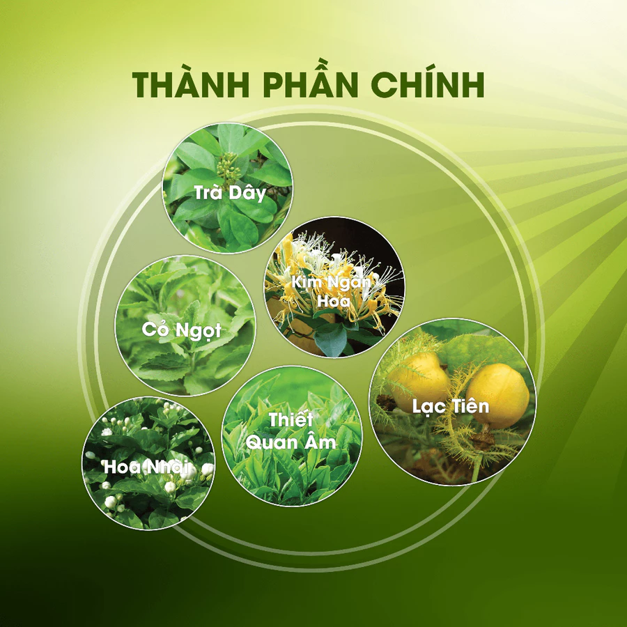 Thập Toàn Đại Bổ - Ảnh 2