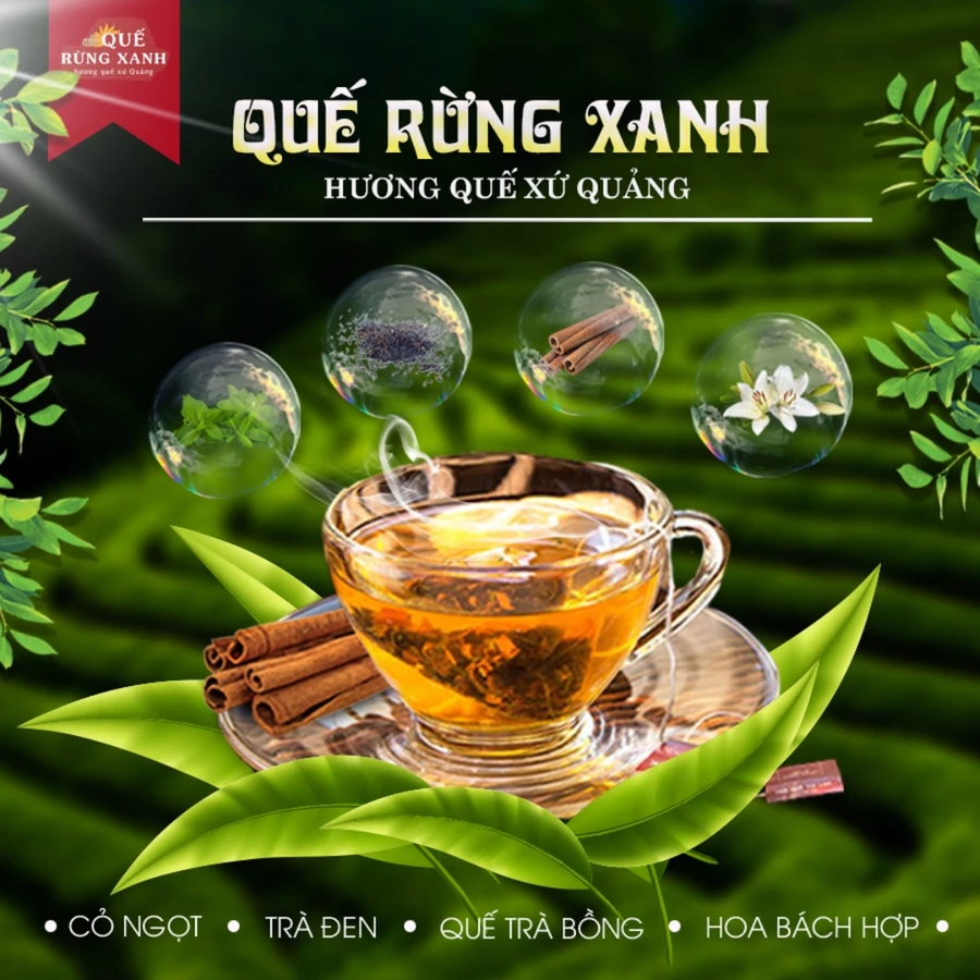 Trà Quế Thảo Mộc Ấm Nồng