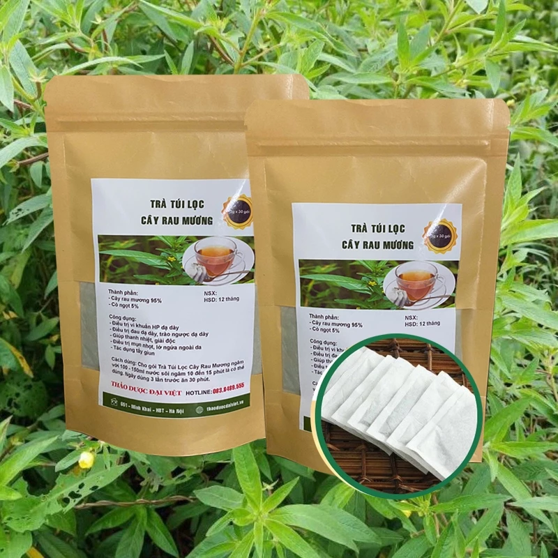 Cà Gai Leo - Ảnh 2